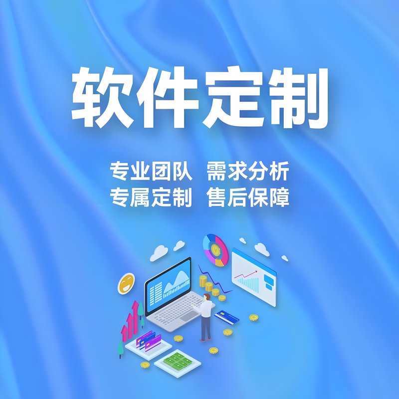 定制软件:企业数字化转型的加速器